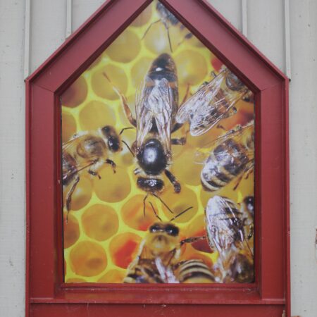 CE Guaranteed™ - Imaged